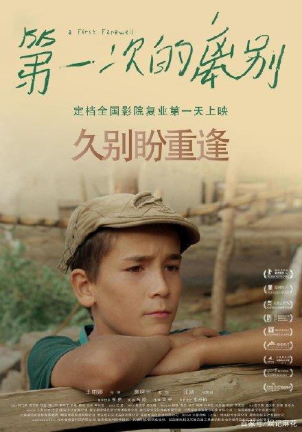买假都柏林高等研究学院学位证